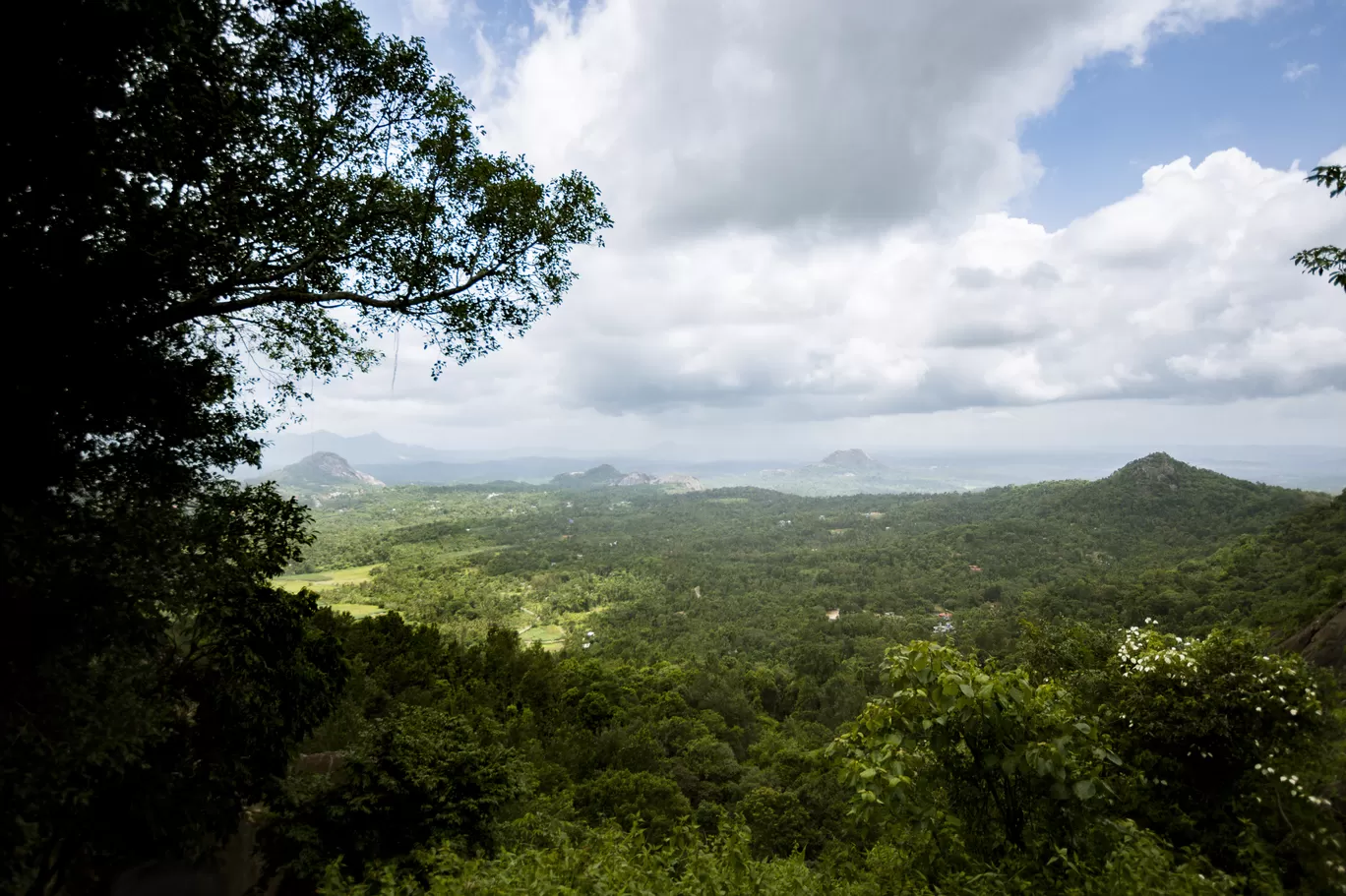 Photo of Wayanad By Swetha Karthik
