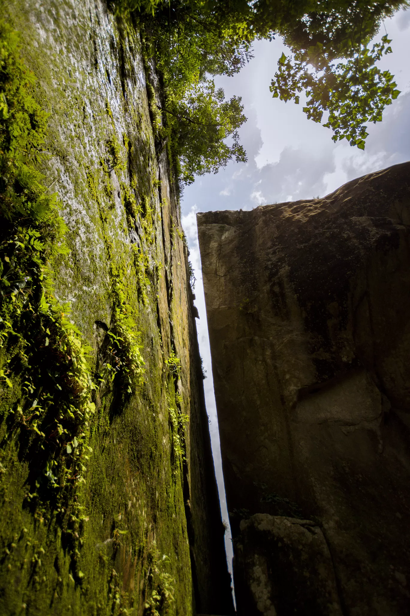 Photo of Wayanad By Swetha Karthik