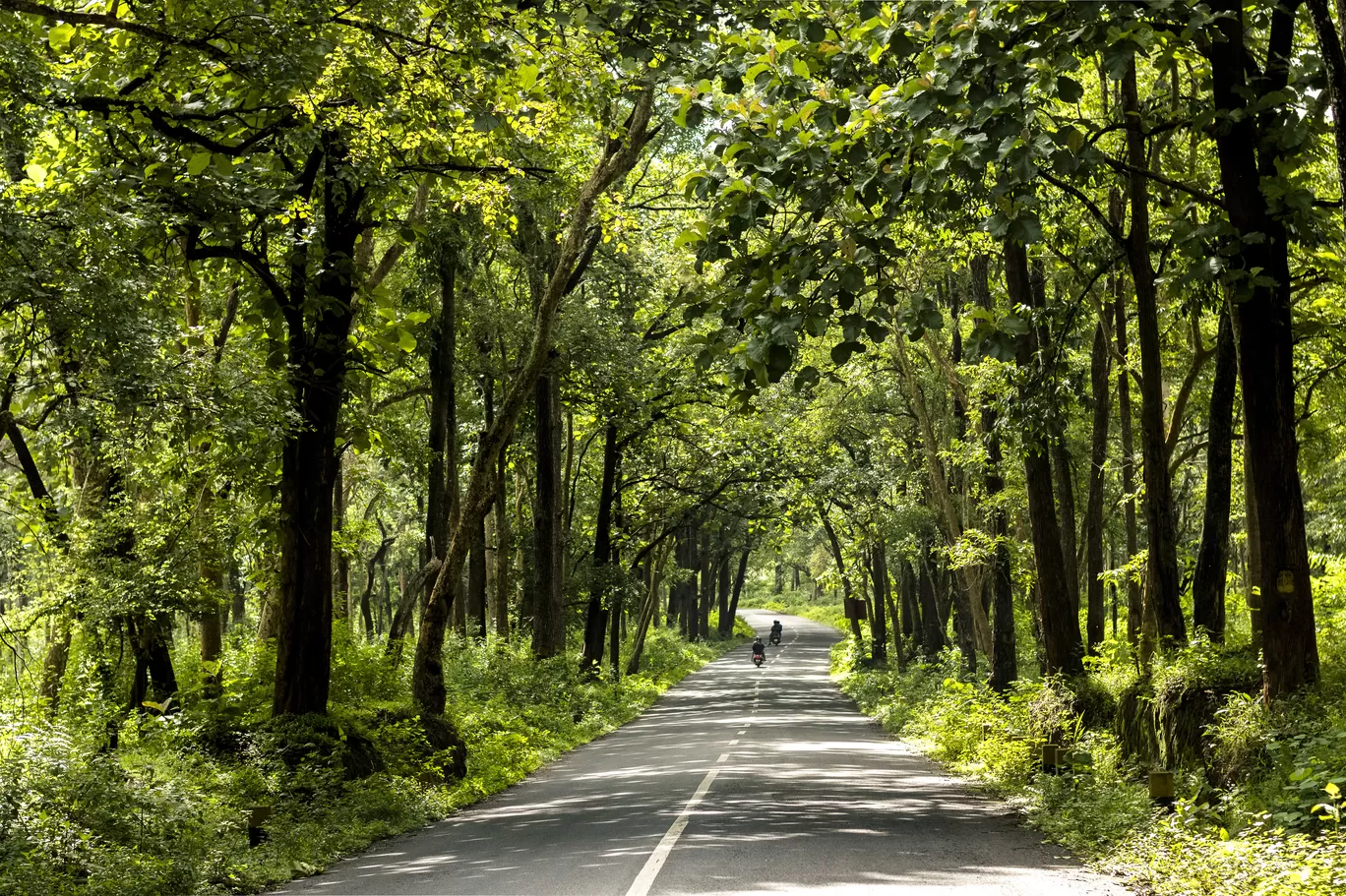 Photo of Wayanad By Swetha Karthik