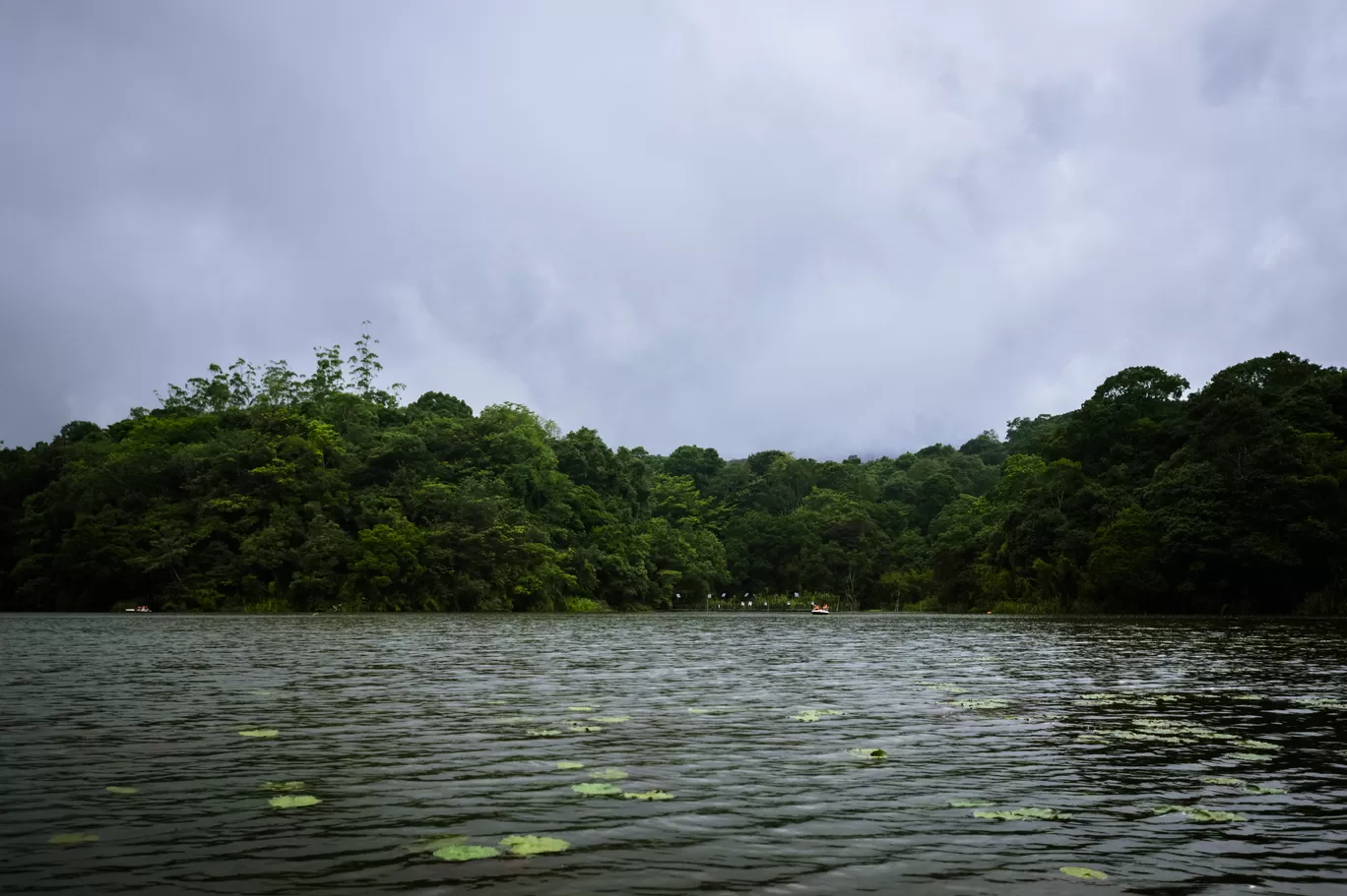 Photo of Wayanad By Swetha Karthik
