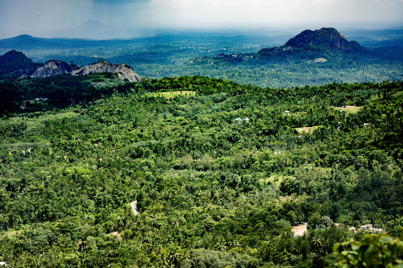 Photo of Wayanad By Swetha Karthik