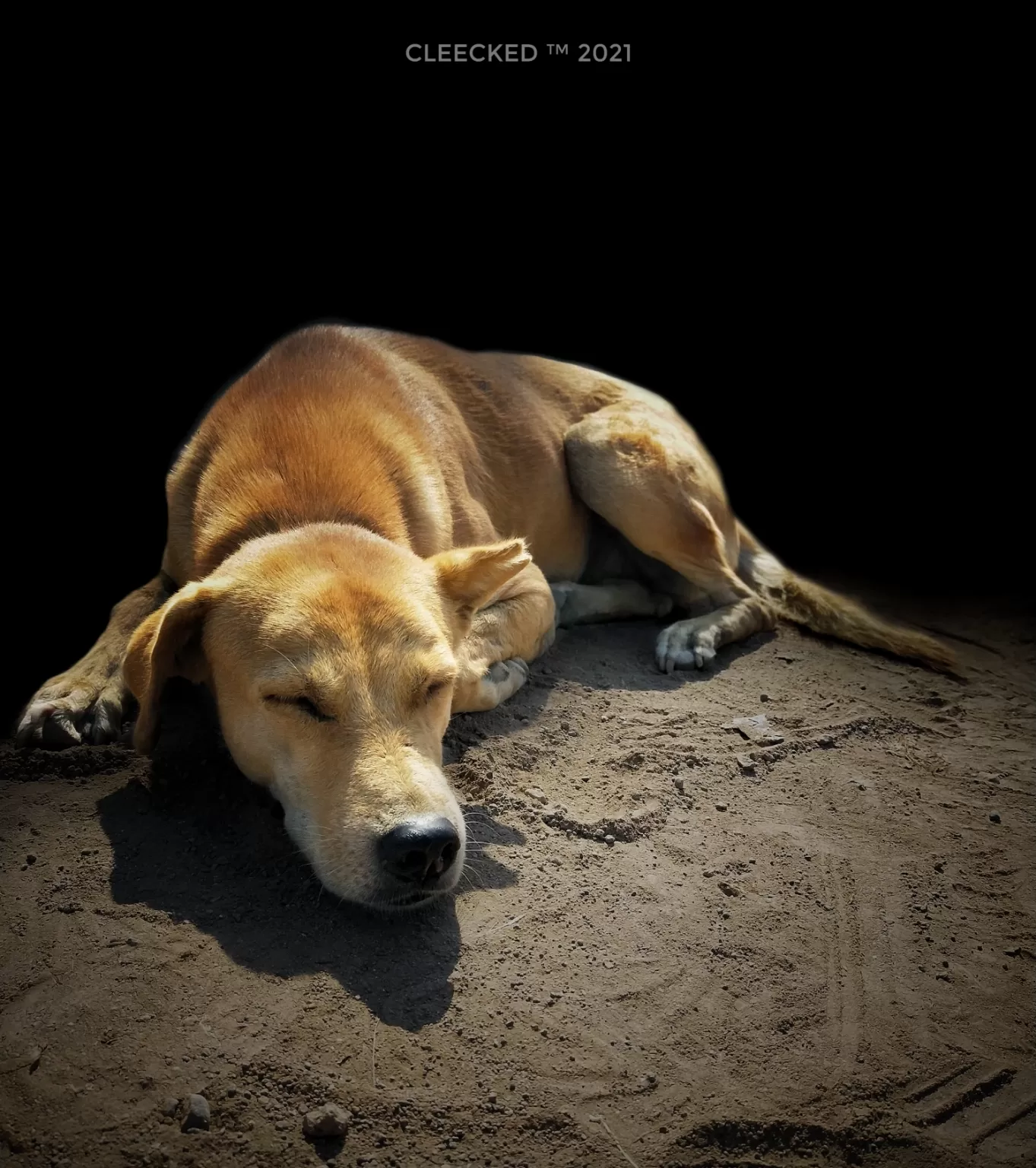 Photo of Wardha By Vaibhav Dumpalwar