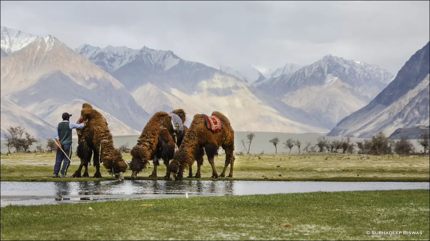 Photo of Ladakh By Subhadeep Biswas