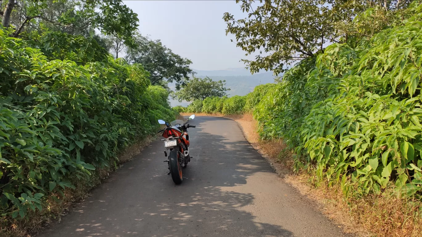 Photo of Madheghat valley view point By AnkurV