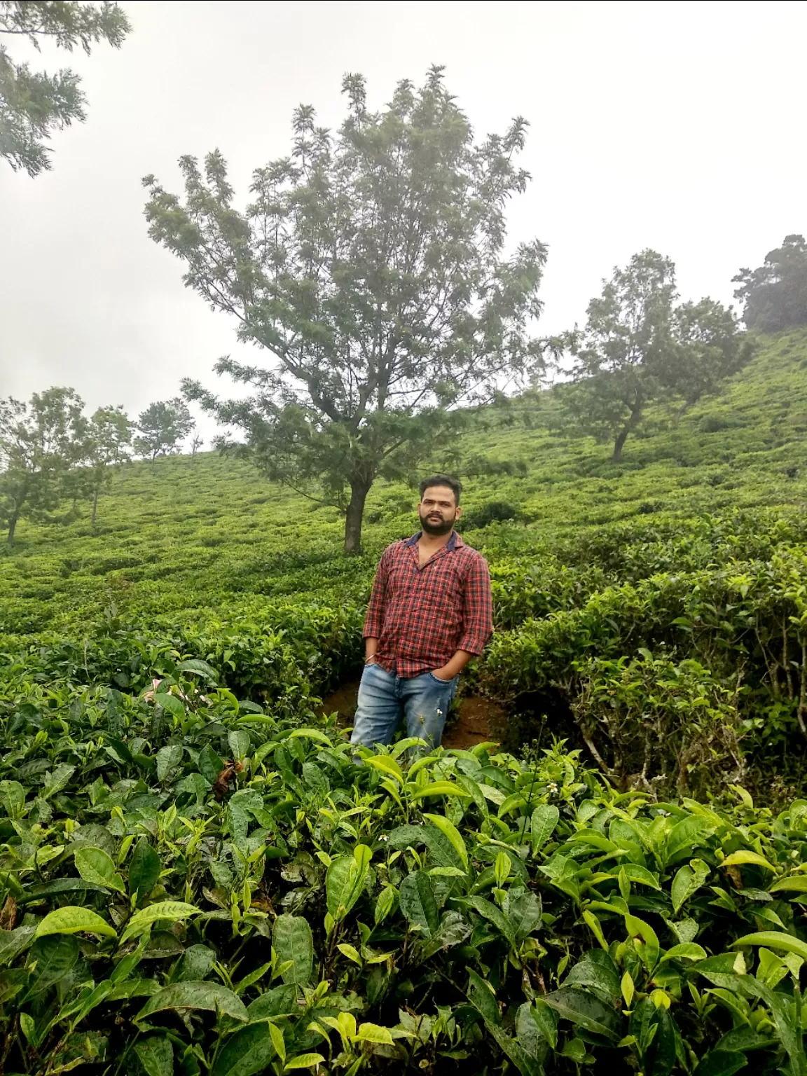 Photo of Ooty By Amit Rawat