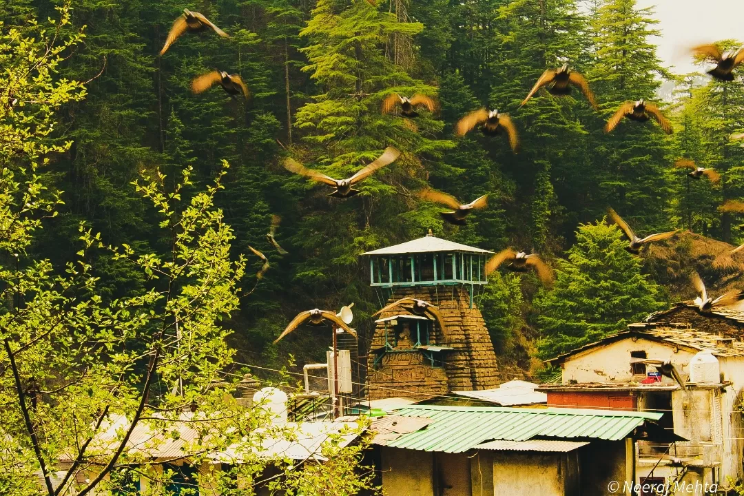 Photo of Jageshwar Dham By Neeraj Mehta