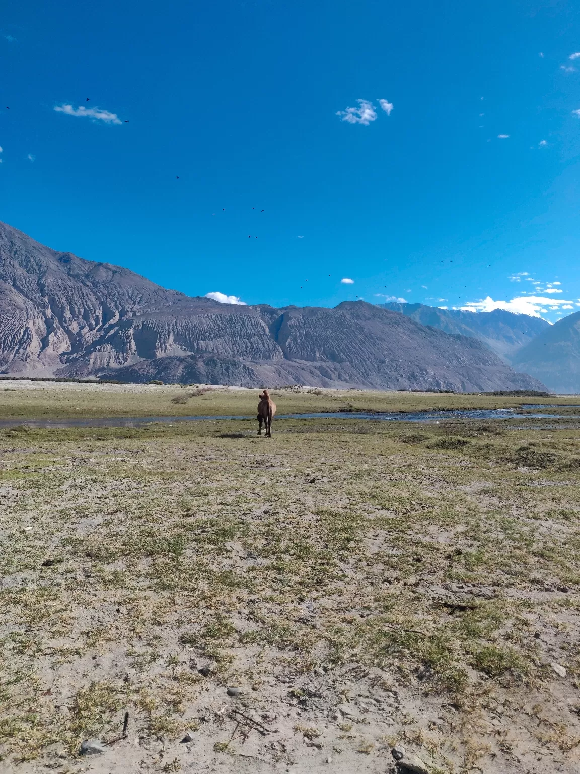 Photo of Pangong Lake By Paleen Paul W Edmond