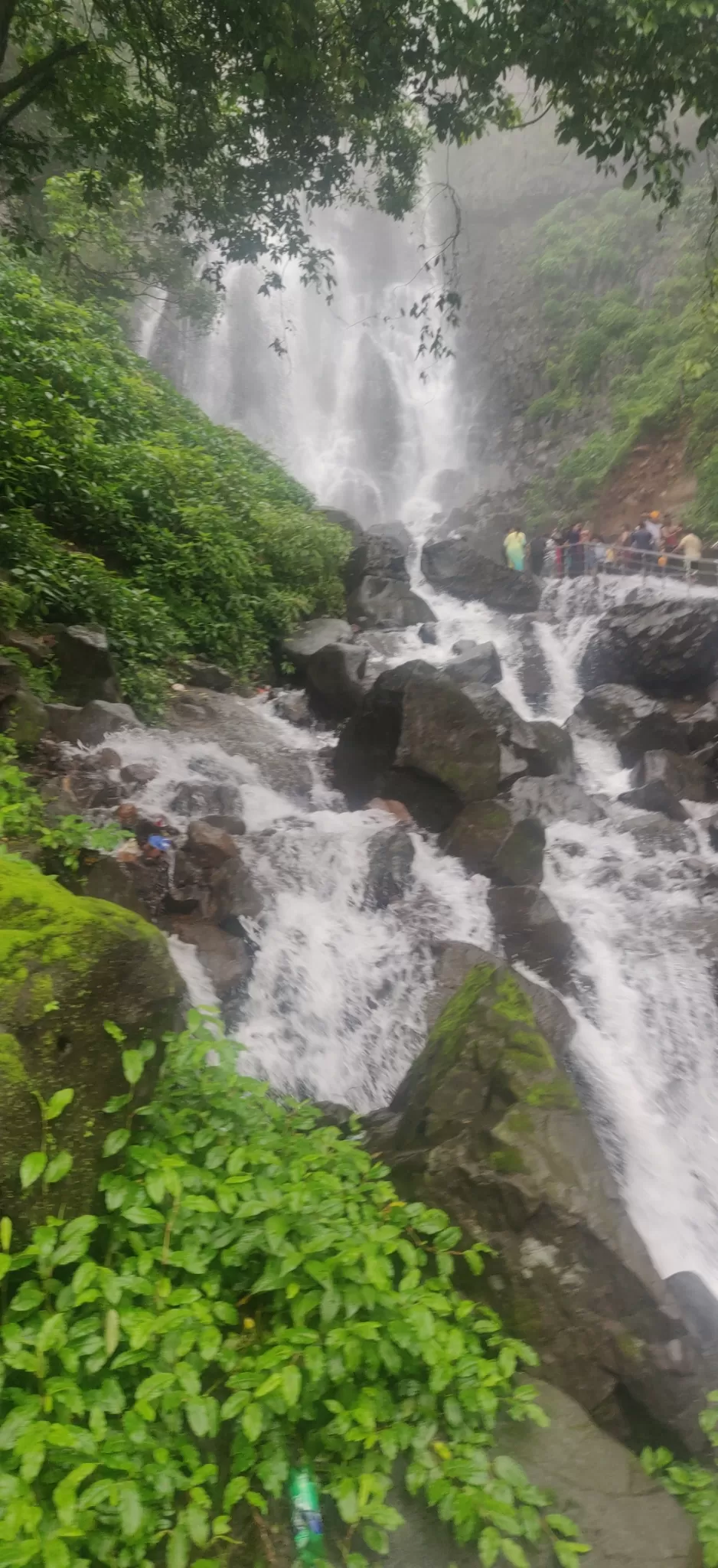 Photo of Amboli Ghat Waterfall By Paleen Paul W Edmond