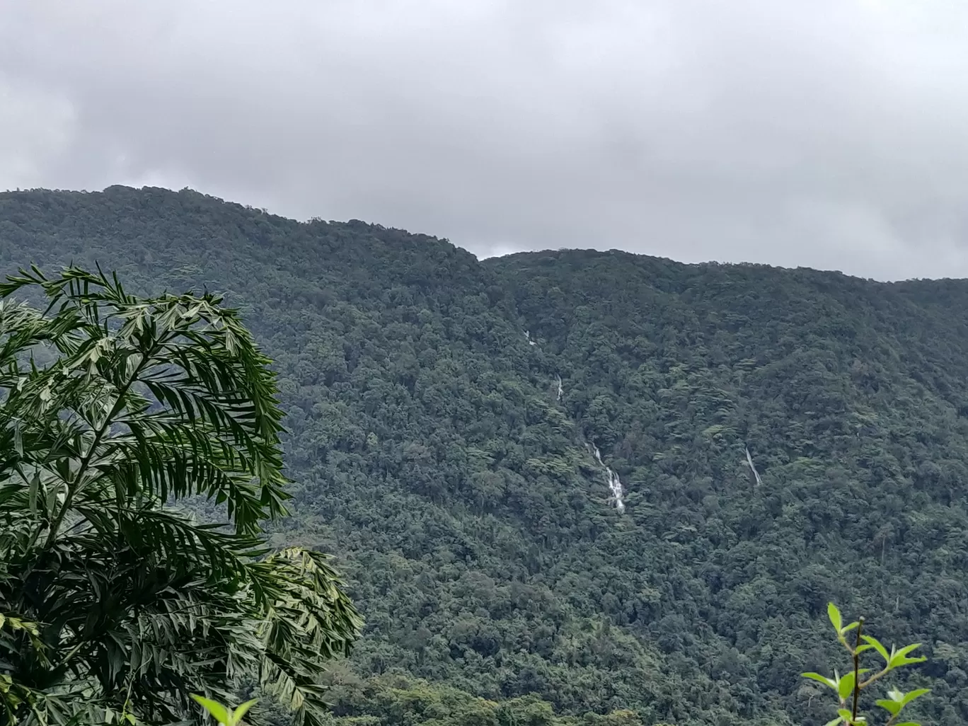 Photo of Western Ghats By Paleen Paul W Edmond