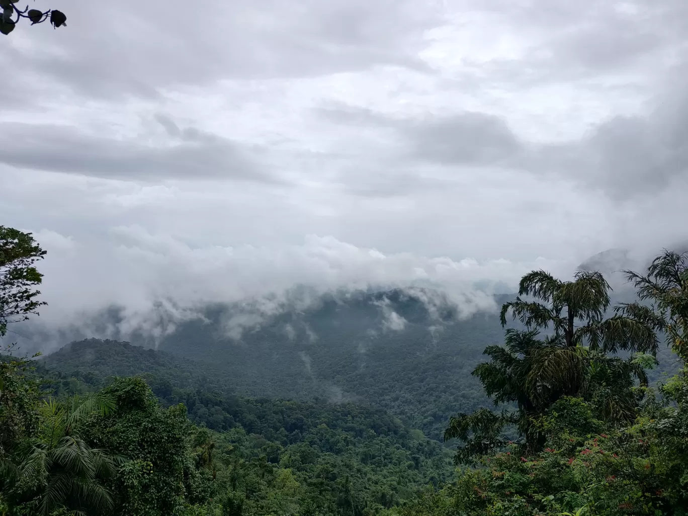 Photo of Western Ghats By Paleen Paul W Edmond