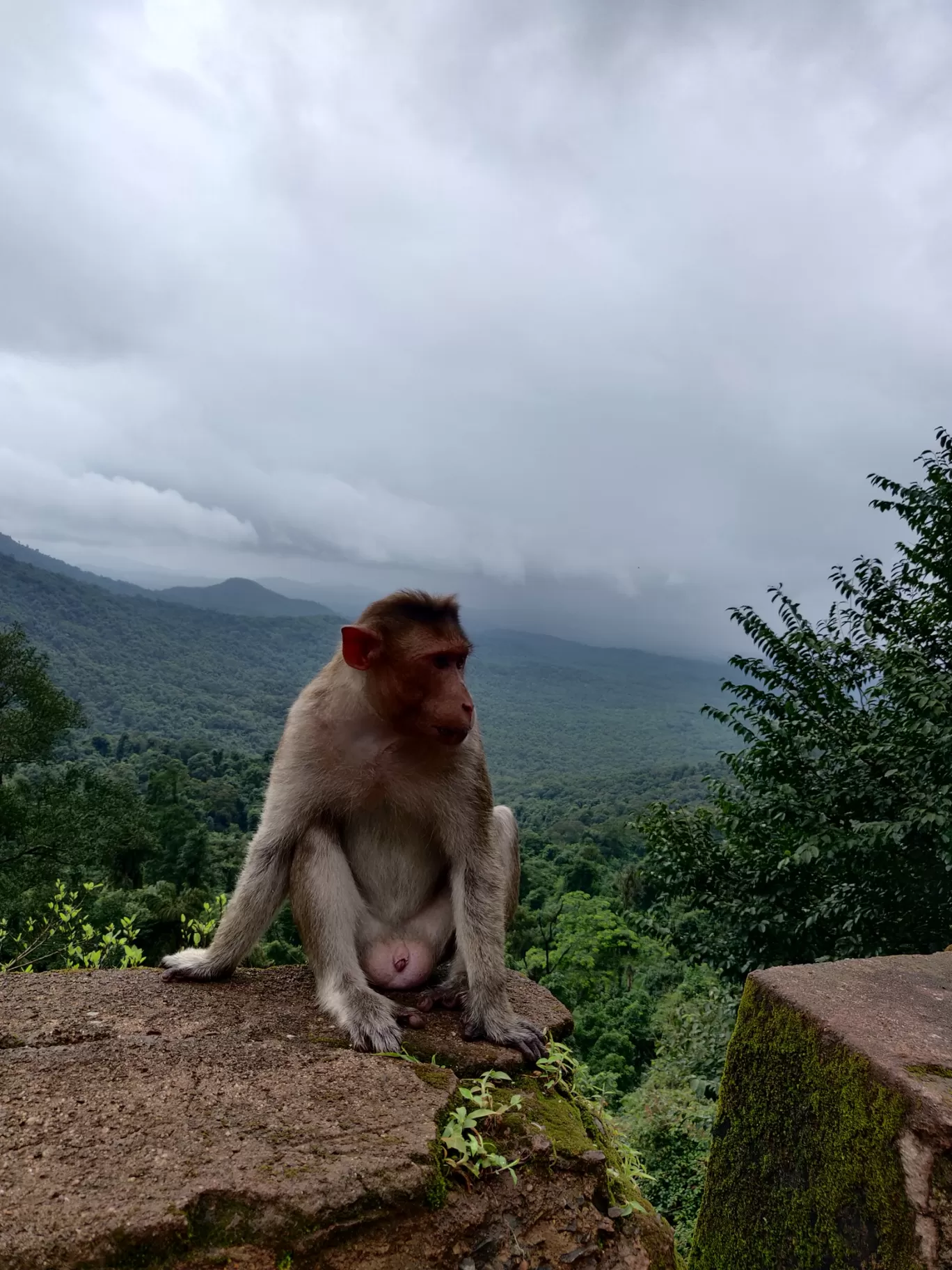 Photo of Western Ghats By Paleen Paul W Edmond