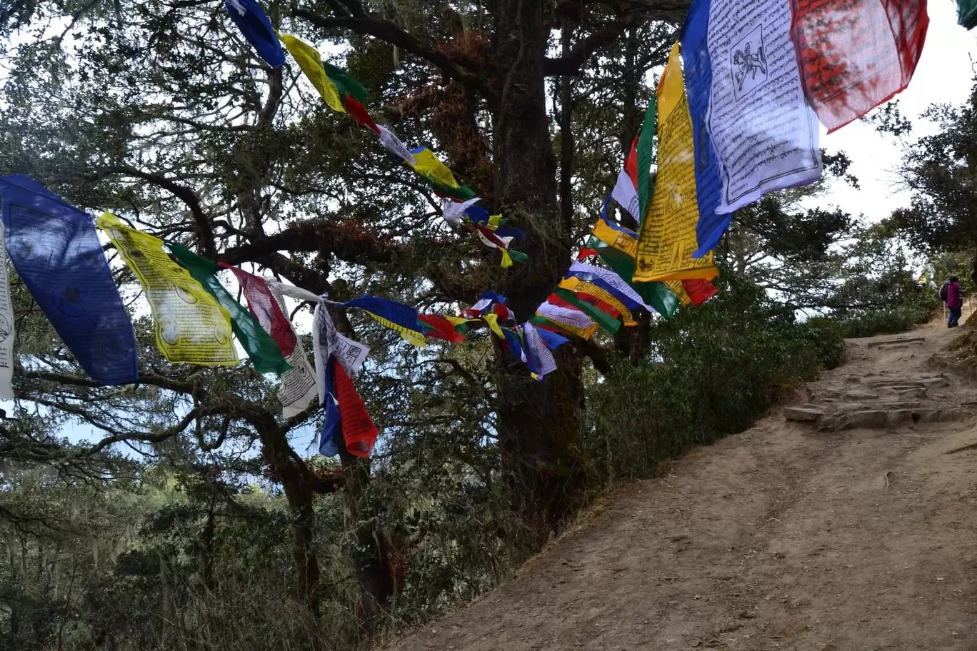 Photo of Bhutan By Paleen Paul W Edmond