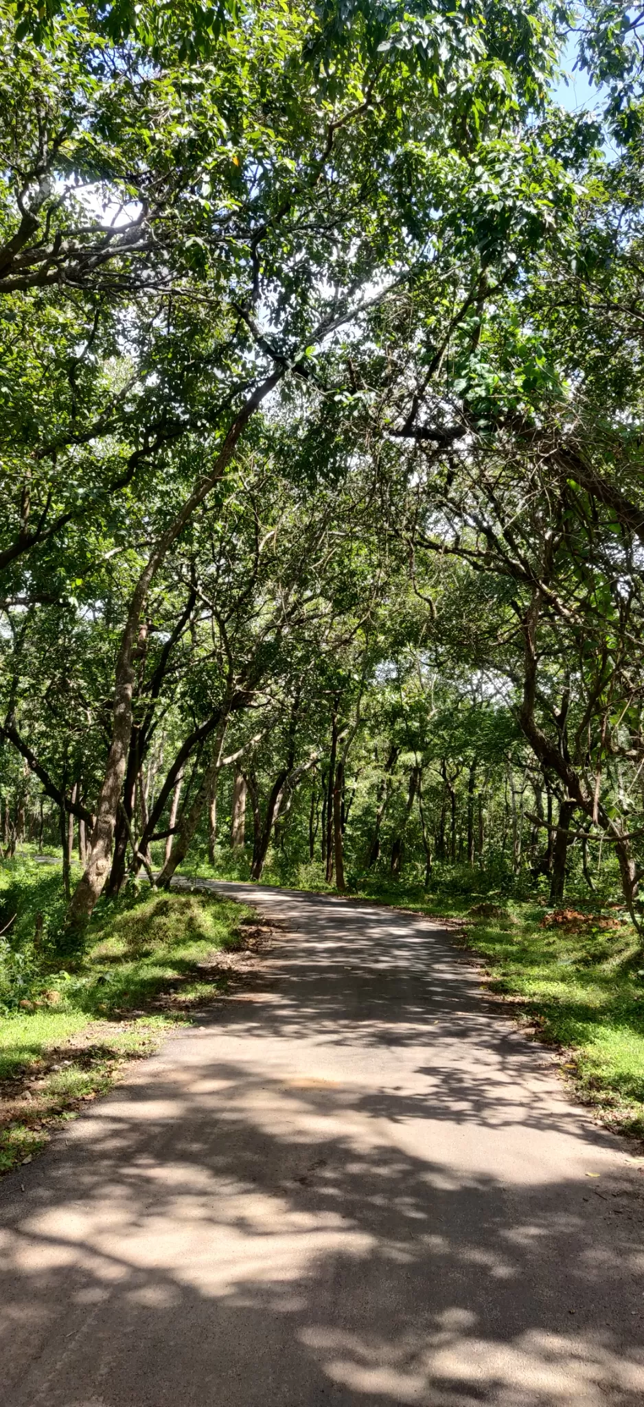 Photo of Tamhini Ghat By Paleen Paul W Edmond