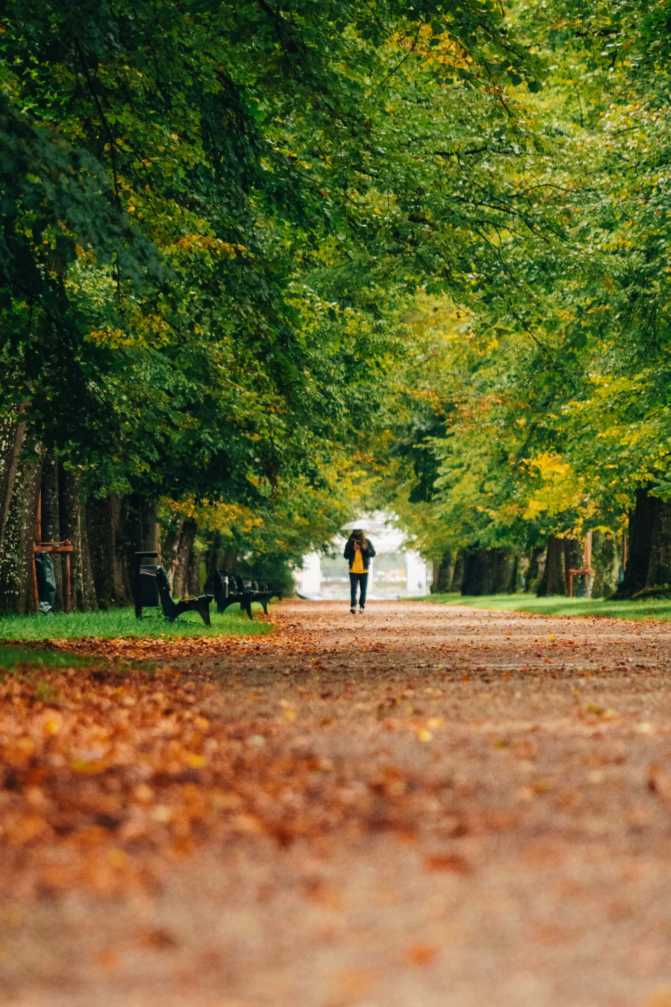 Photo of Munich By NJ Travel Films