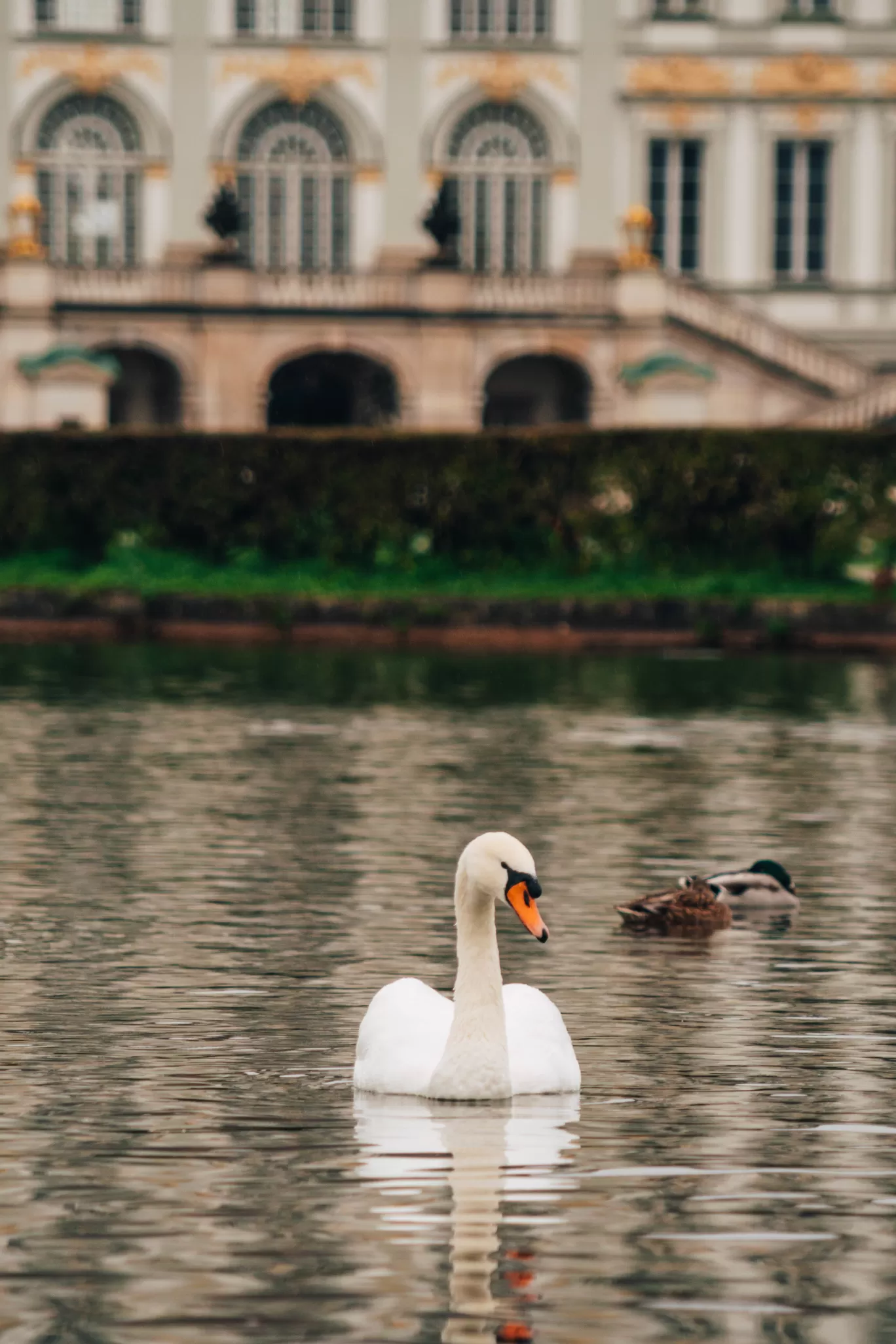 Photo of Munich By NJ Travel Films