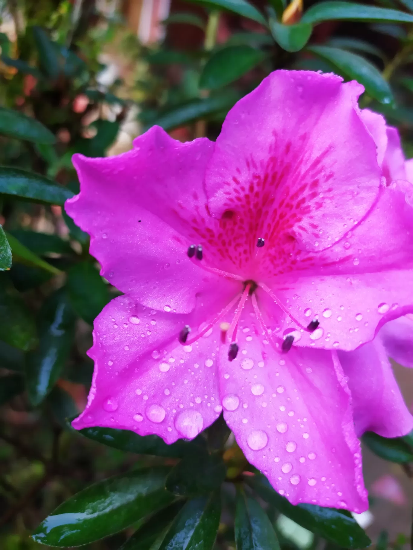 Photo of Munnar By Gayathri Suresh