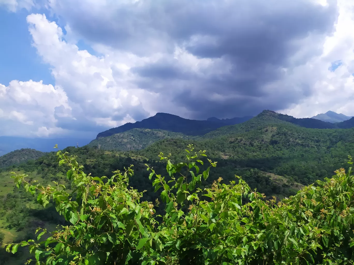 Photo of Munnar By Gayathri Suresh