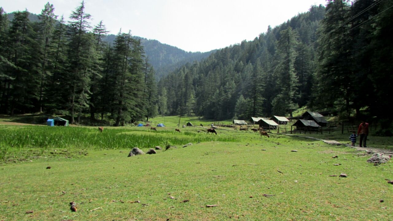 Photo of Churdhar Mahadev Trek via Sarain (Chaupal), Himachal Pradesh By Gaurav Pal