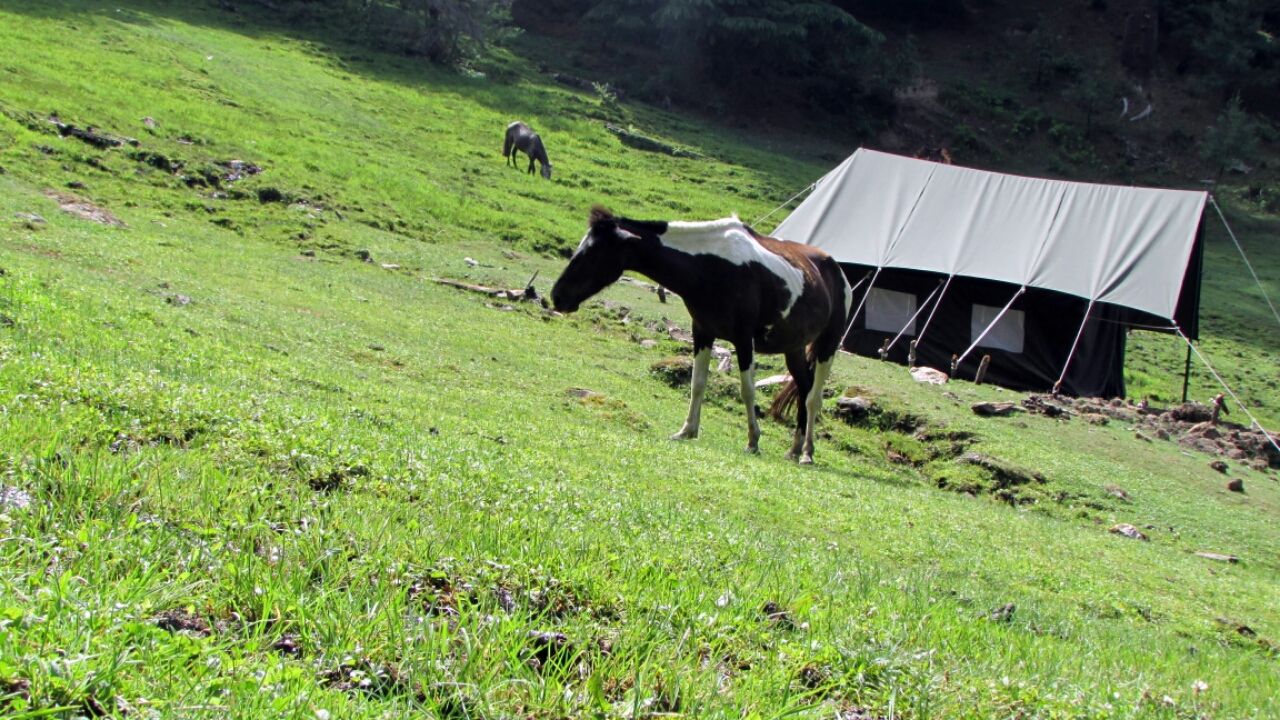 Photo of Churdhar Mahadev Trek via Sarain (Chaupal), Himachal Pradesh By Gaurav Pal