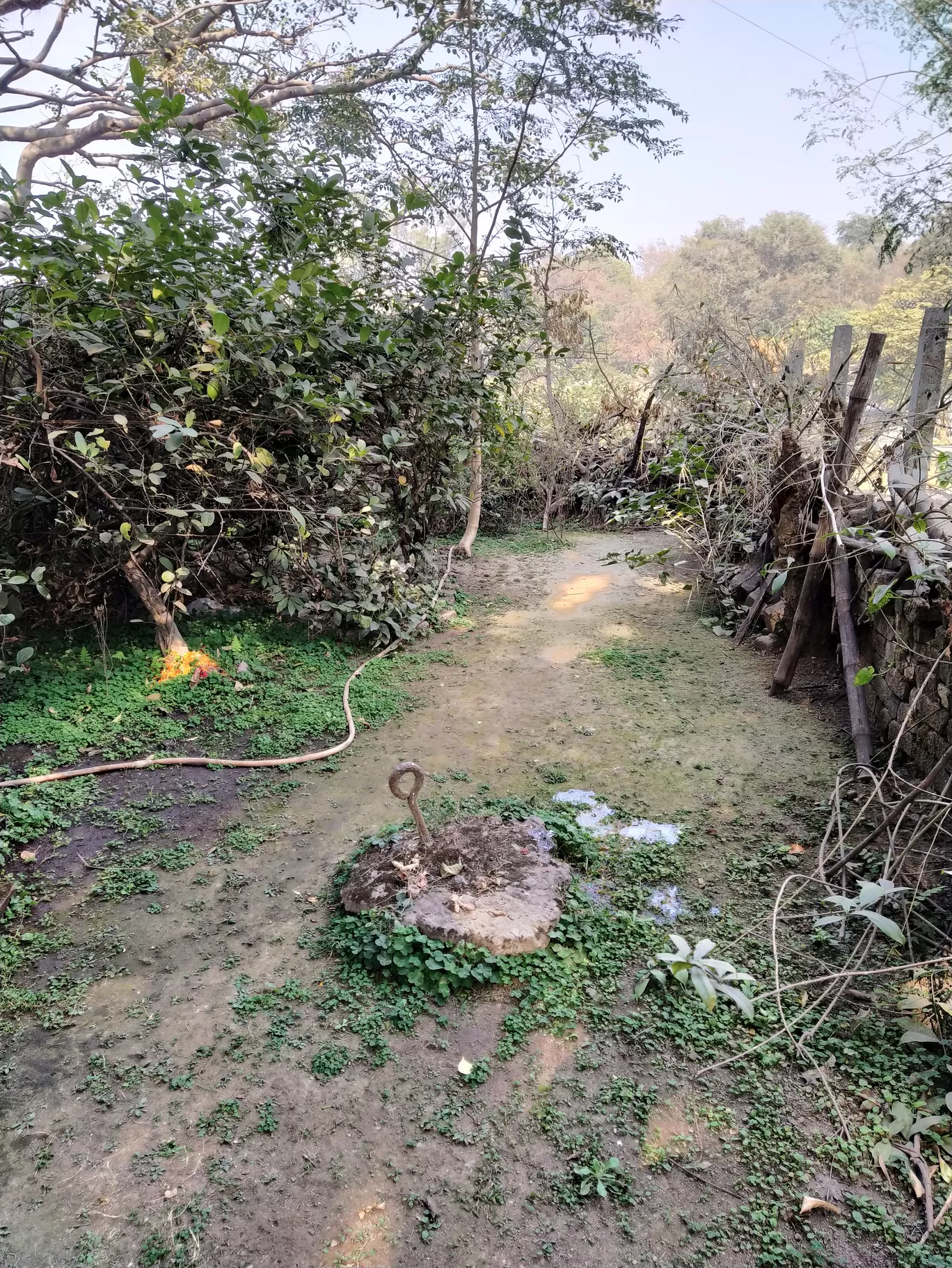 Photo of Kulti By Rounak Chatterjee