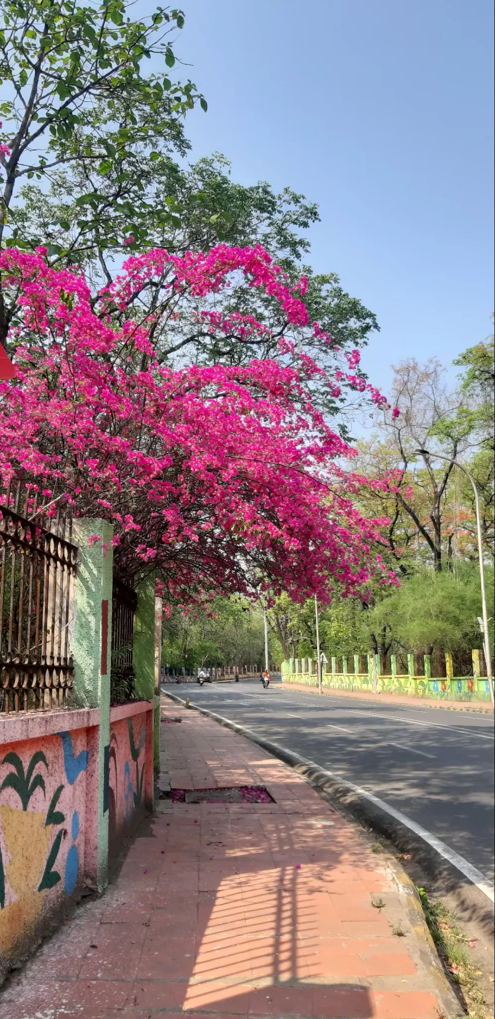 Photo of Nagpur By Sushree Mishra 