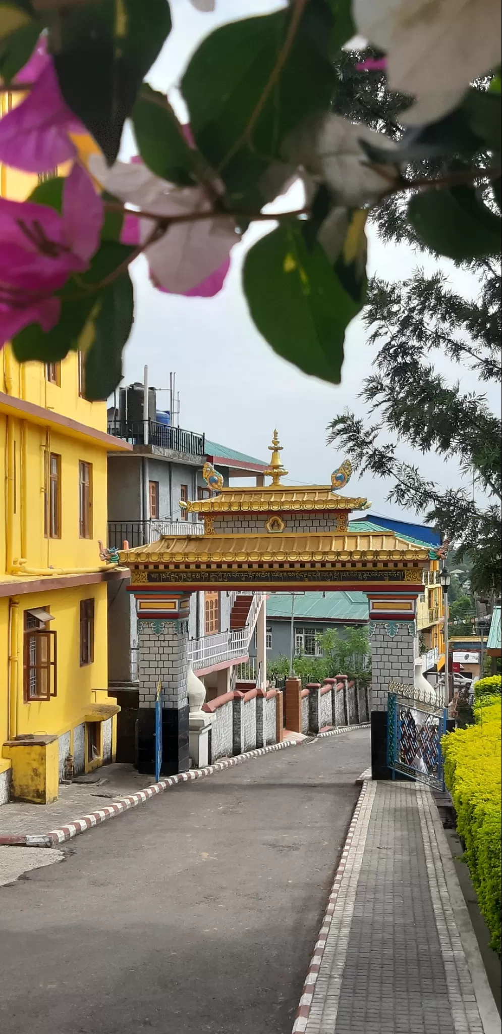 Photo of Dharamshala By Sushree Mishra 