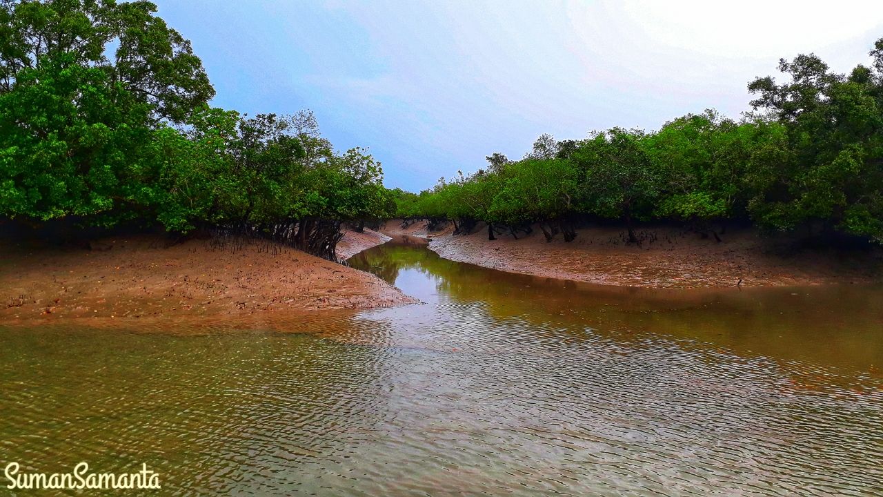 Photo of Sundarbans By Suman Samanta