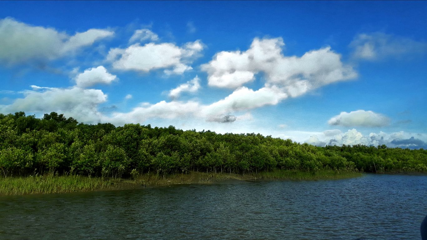 Photo of Sundarban By Suman Samanta