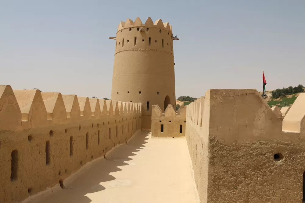 Photo of Bateen Liwa By Vandana Singh