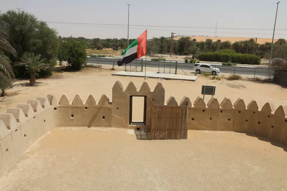 Photo of Bateen Liwa By Vandana Singh