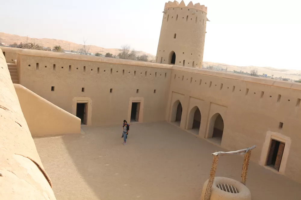 Photo of Bateen Liwa By Vandana Singh