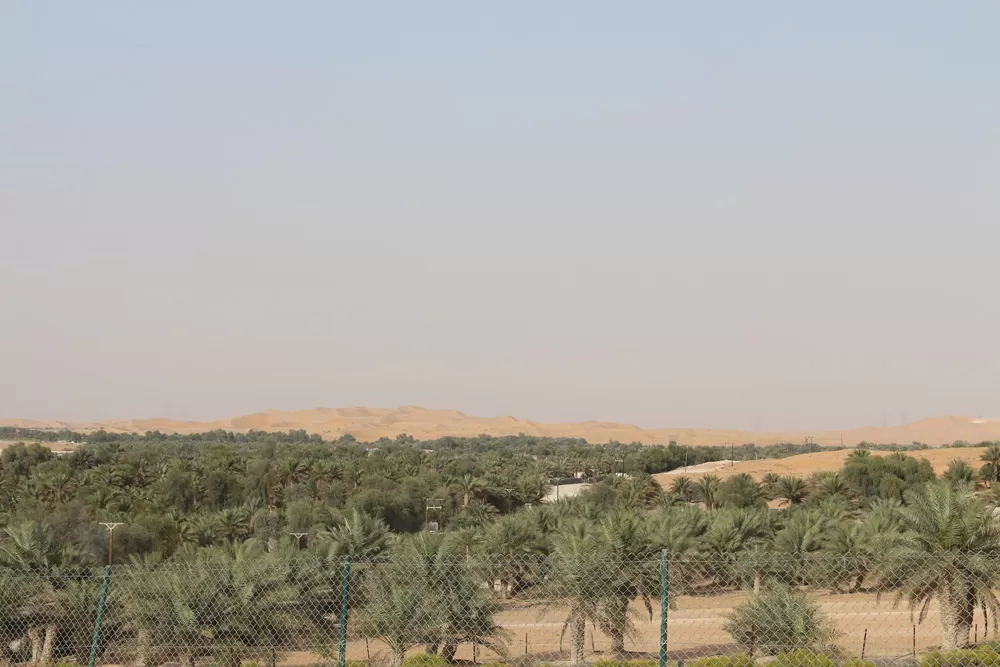 Photo of Bateen Liwa By Vandana Singh