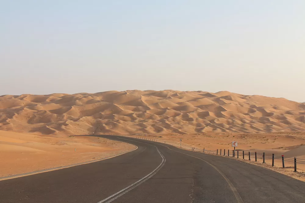Photo of Bateen Liwa By Vandana Singh