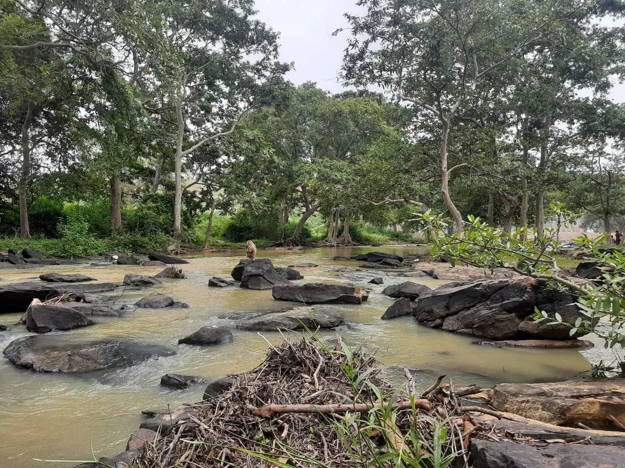 Photo of Bindpur Kalan By Sidharth Singh