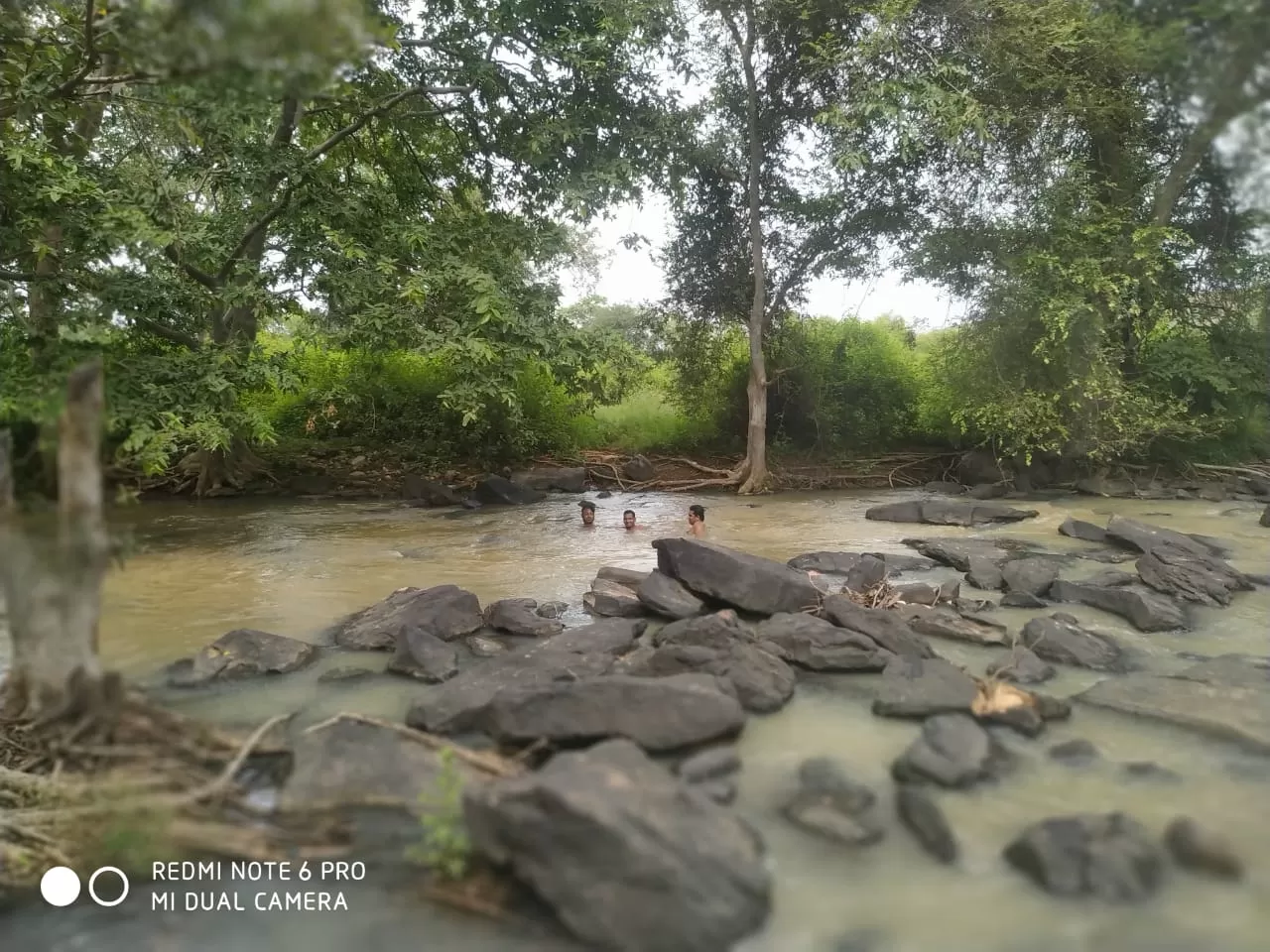 Photo of Bindpur Kalan By Sidharth Singh