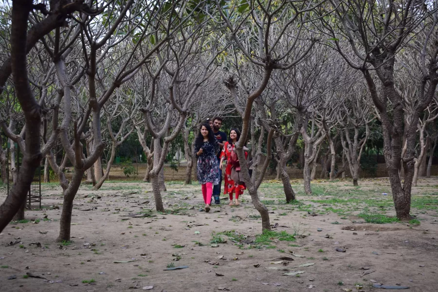 Photo of Lodhi Garden By Sharmila Ray