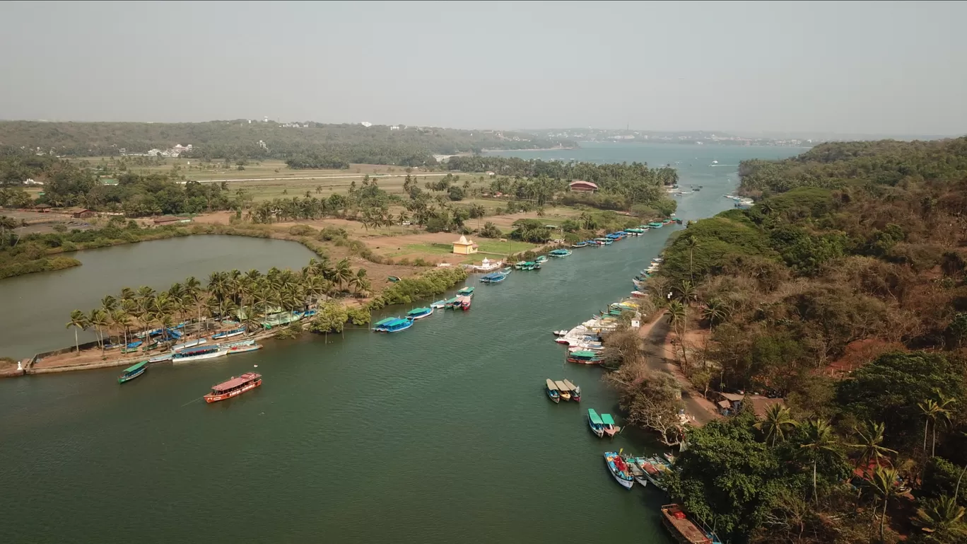 Photo of Nerul River By Travel With Suhit