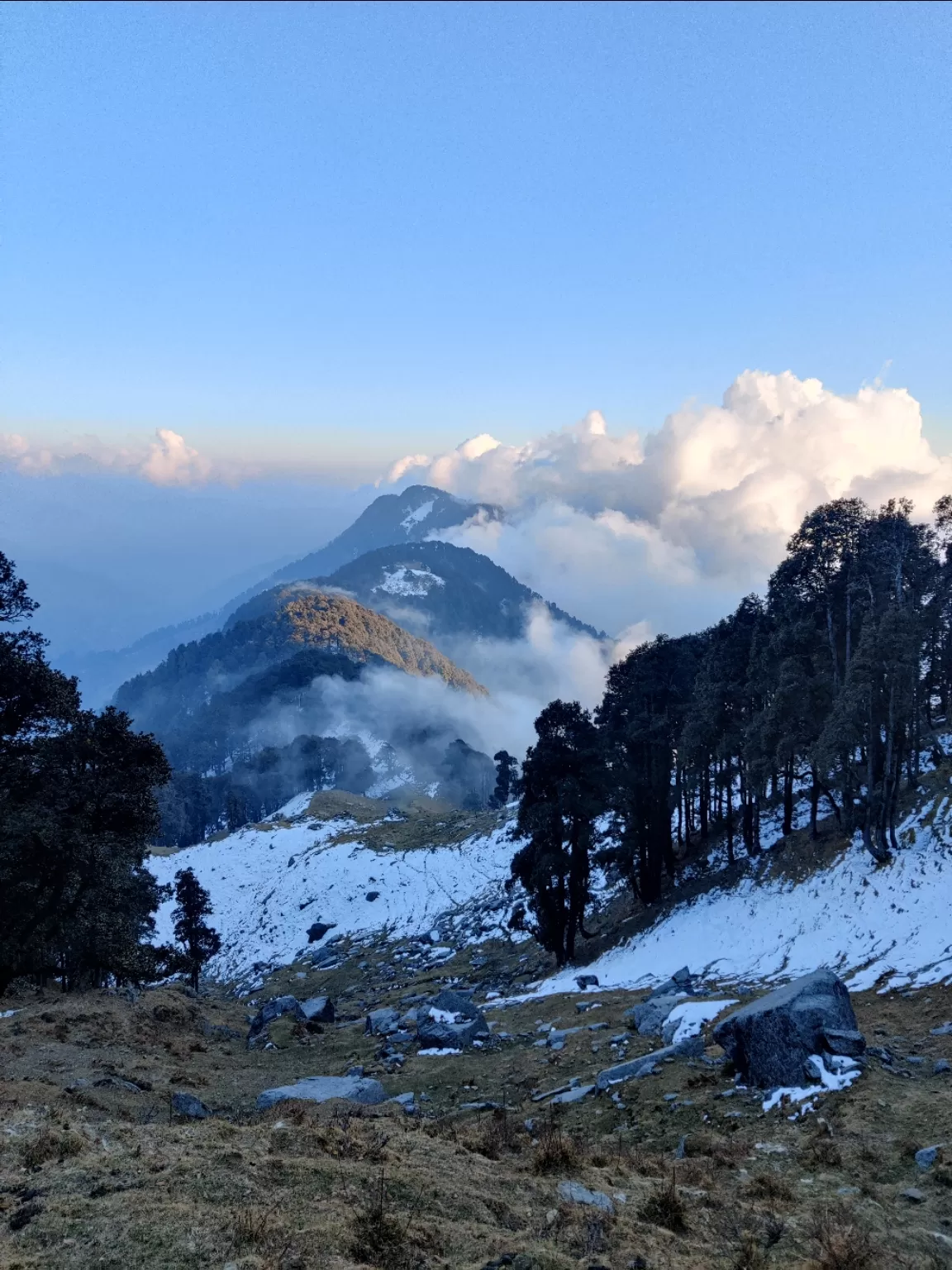 Photo of Rajgundha By Ajay Thakur