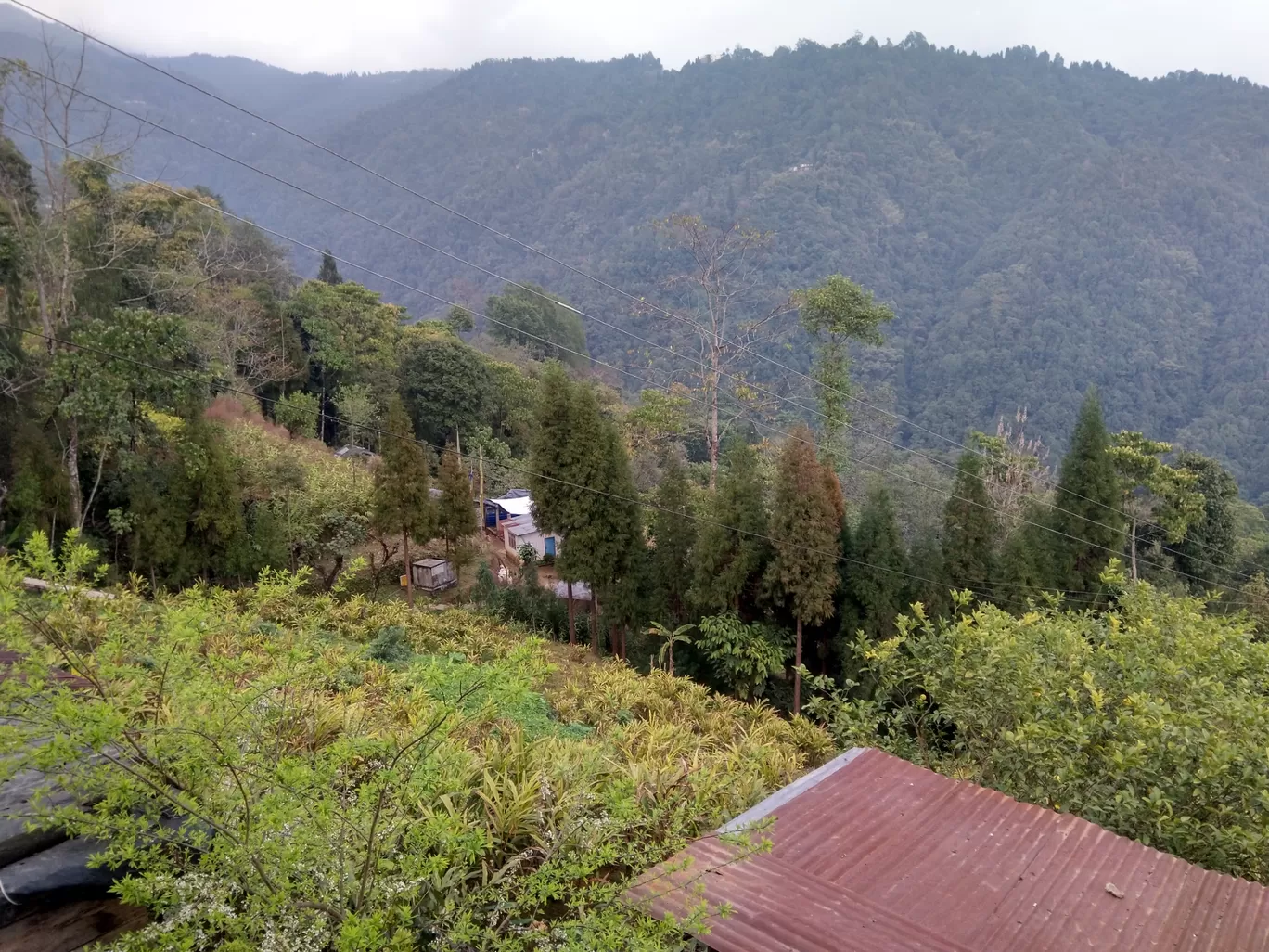 Photo of Pokhriabong By Kaustaav Banerjee