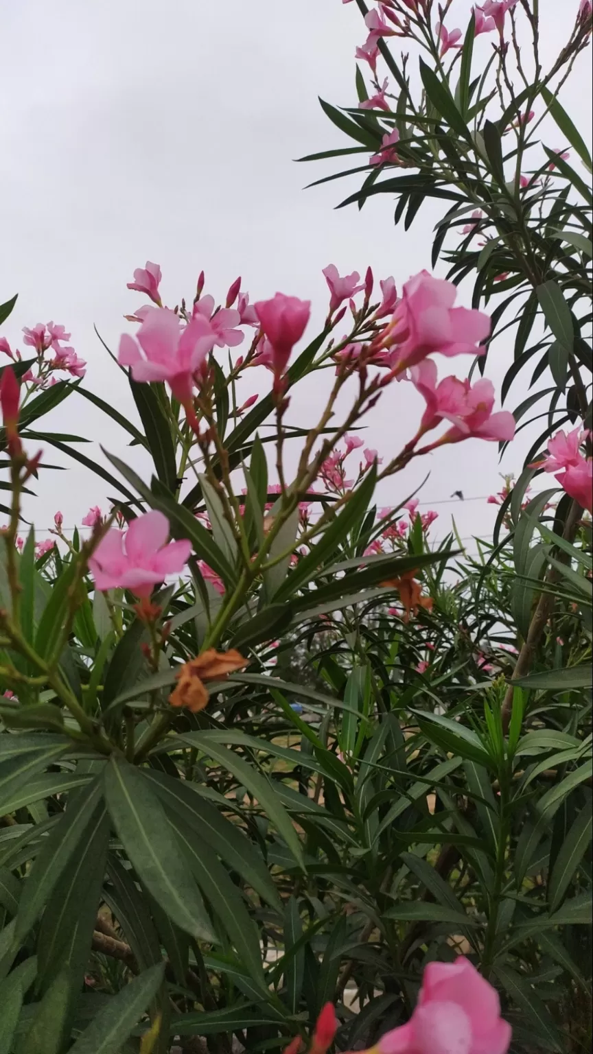 Photo of Vadodara By Kshiti Jhala