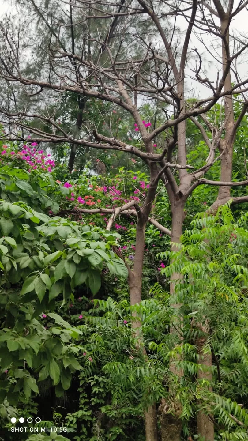 Photo of Vadodara By Kshiti Jhala