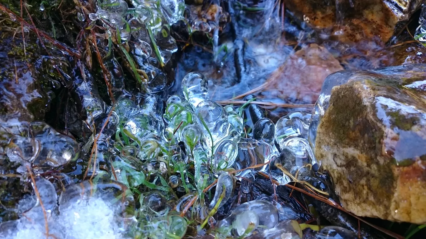 Photo of Kedarkantha Trekking By Kashish Jain