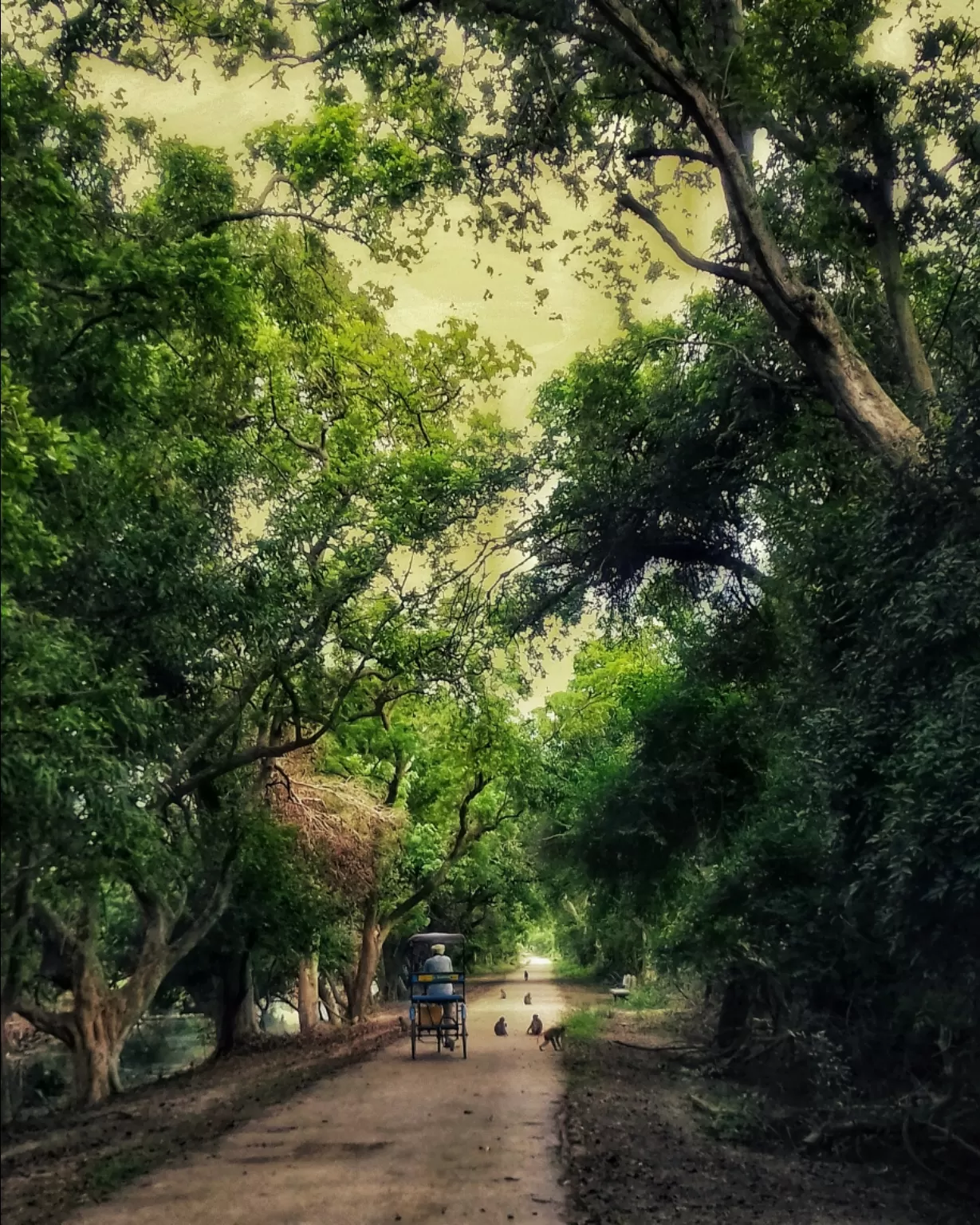 Photo of Keoladeo National Park By Dharam singh Meena