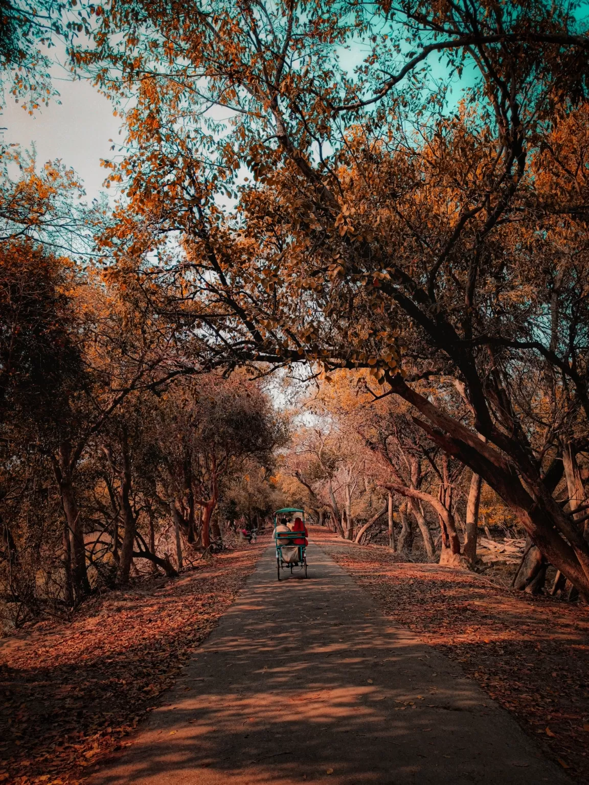 Photo of Keoladeo National Park By Dharam singh Meena