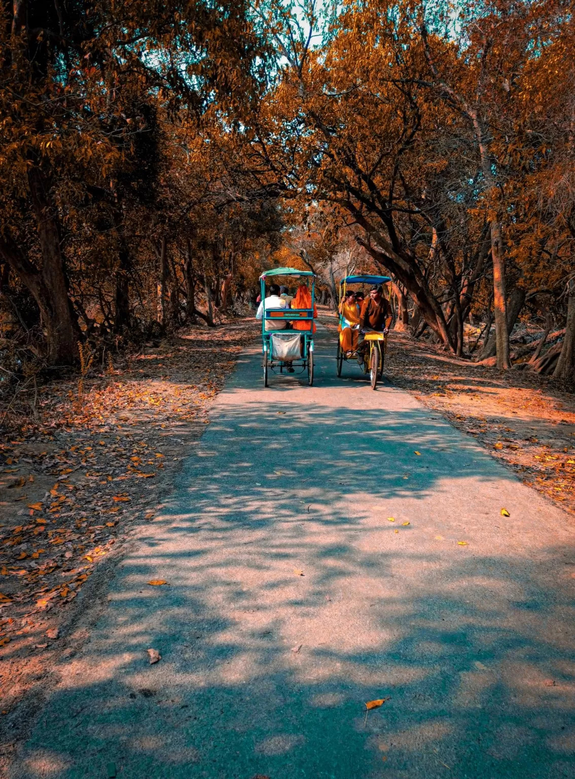 Photo of Keoladeo National Park By Dharam singh Meena