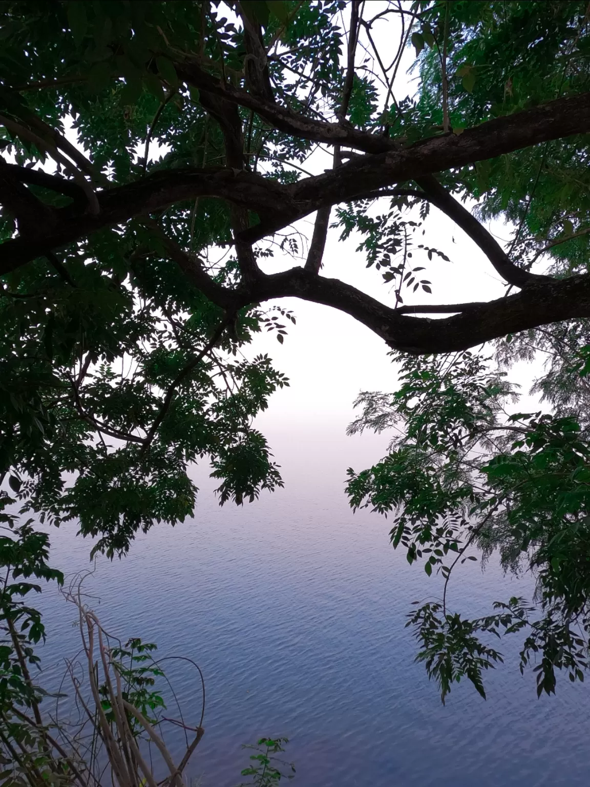 Photo of Khadakwasla dam By mepraneet