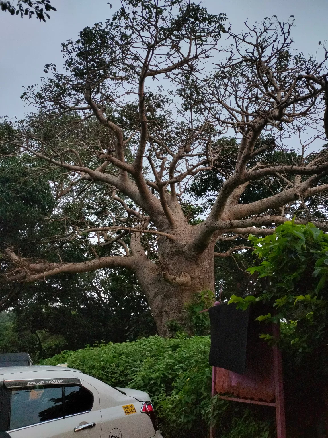 Photo of Ghodbunder Fort By Suyash Mishra