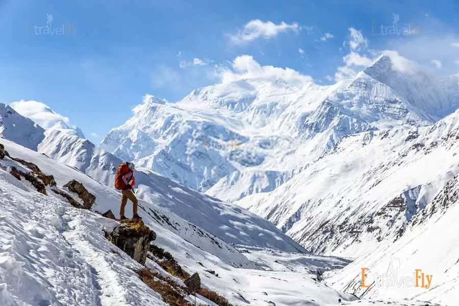 Photo of Etravelfly uttarakhand By etravelfly 