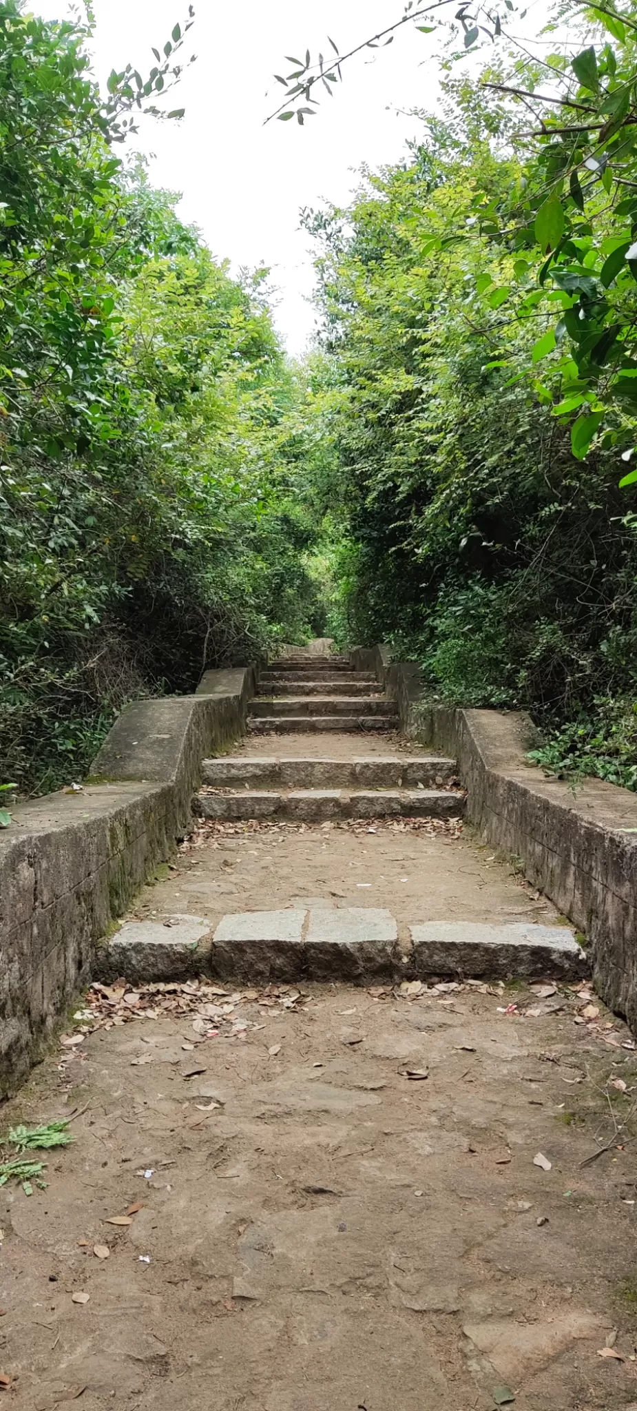 Photo of Parvathamalai Trail By kumar G