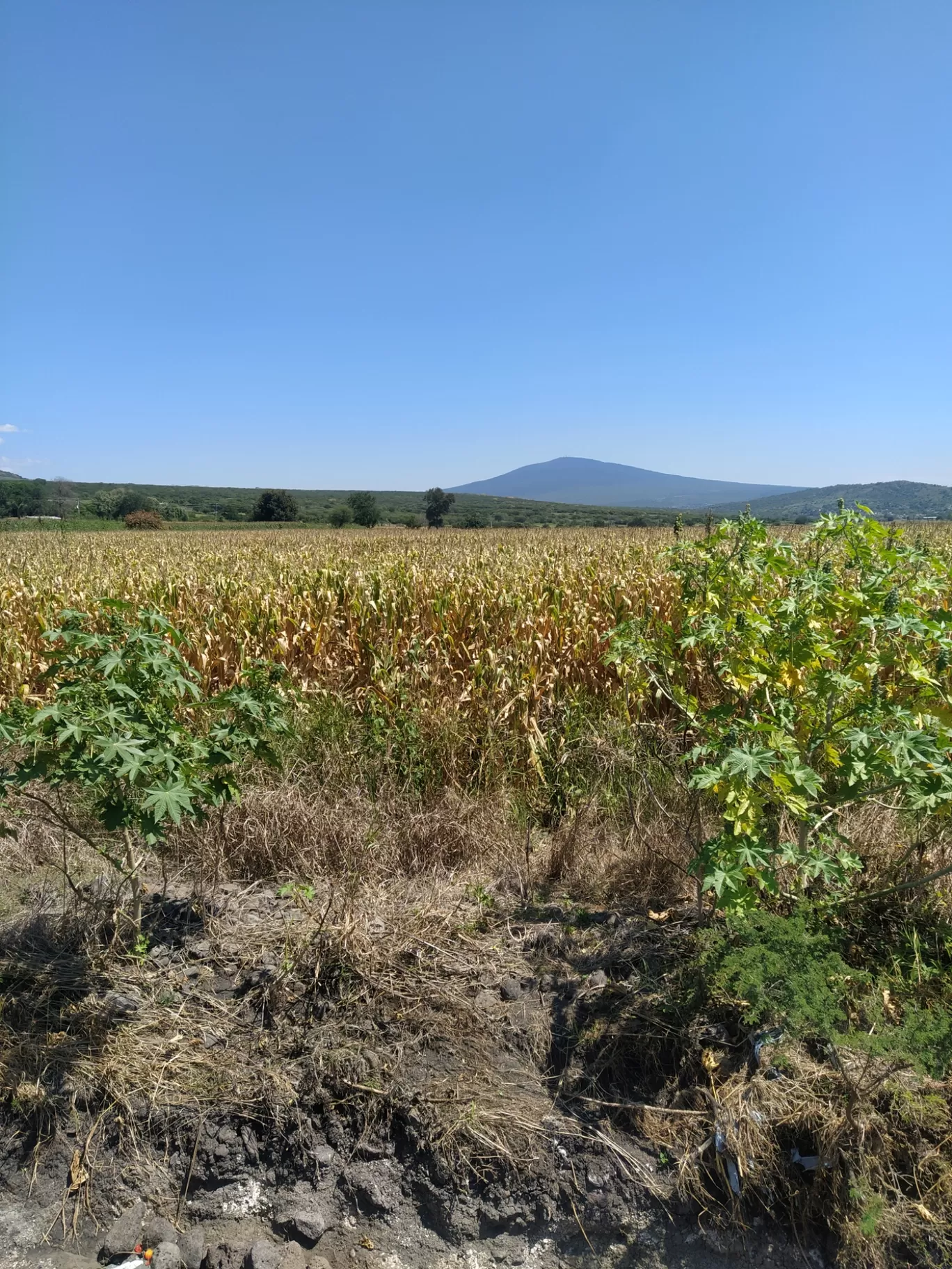 Photo of Yurécuaro By Alberto García